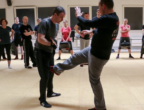 Krav Maga Basic Seminars in February/March in Cologne
